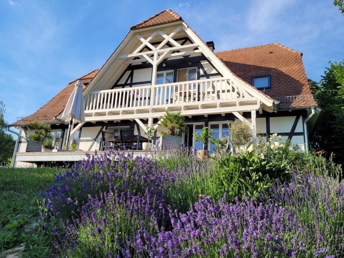 Romantik-Home Nordelsass - Ferienwohnung Fuer Selbstversorger Oberhoffen-les-Wissembourg Ngoại thất bức ảnh