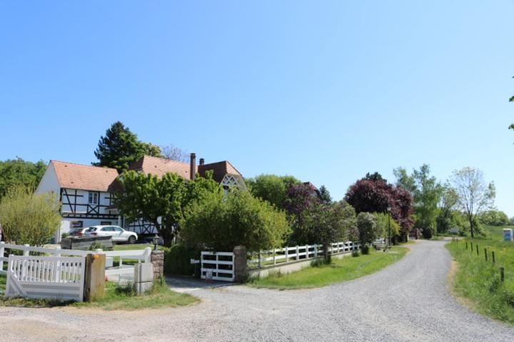 Romantik-Home Nordelsass - Ferienwohnung Fuer Selbstversorger Oberhoffen-les-Wissembourg Ngoại thất bức ảnh