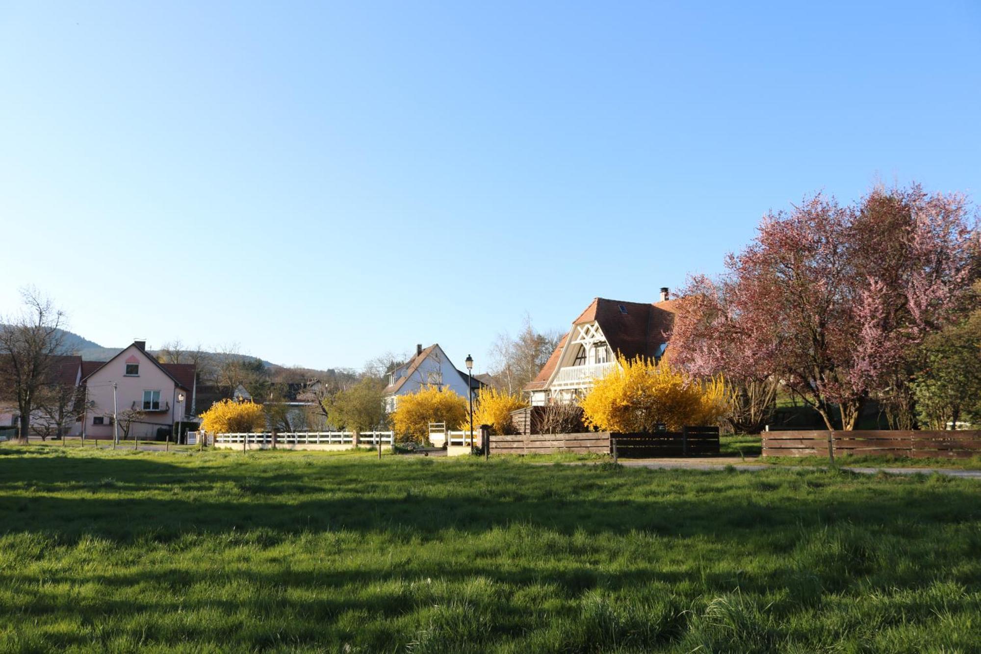 Romantik-Home Nordelsass - Ferienwohnung Fuer Selbstversorger Oberhoffen-les-Wissembourg Ngoại thất bức ảnh